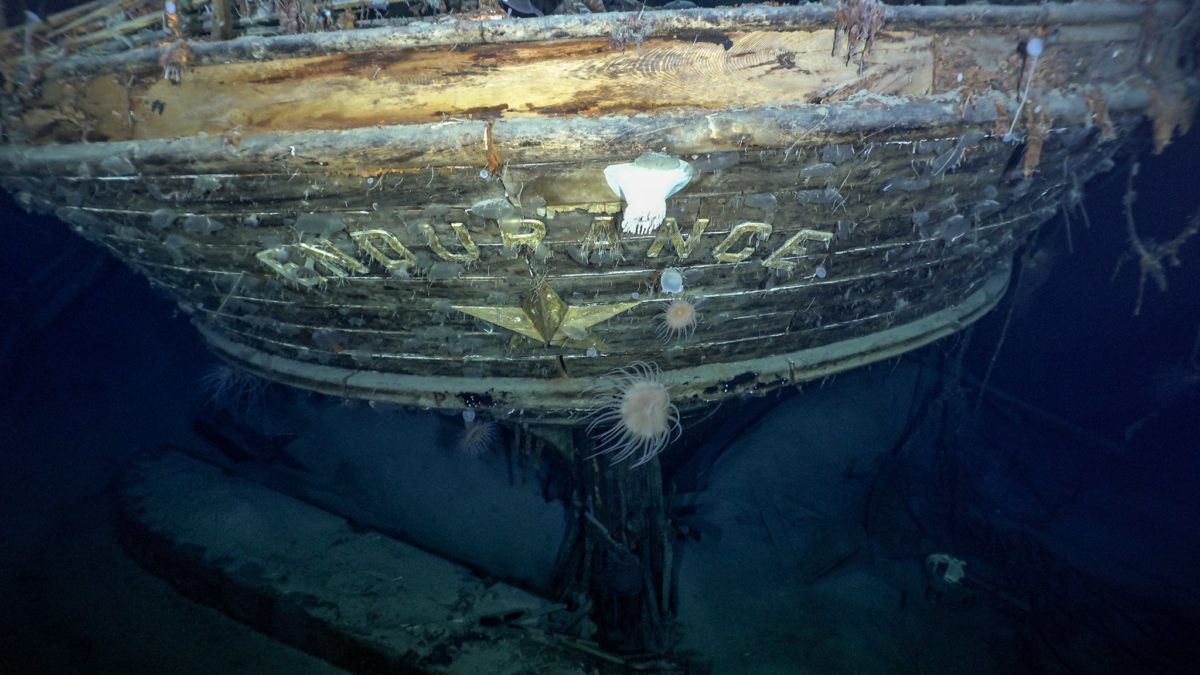 Ritrovato il relitto della Endurance. La nave di Shackleton filmata a 3mila metri di profondità nel mare di Weddell. Affondò nel 1915