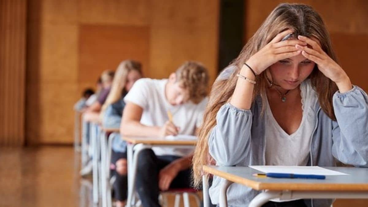 Tracce prima prova esame di maturità 2023, ecco i temi per lo scritto d’italiano