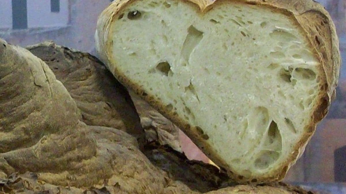 Perché il pane è aumentato anche se fatto con 100% di grano italiano? Speculazioni in corso