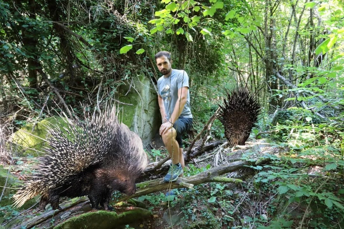 Andrea Boscherini youtube, cv ed età del naturalista