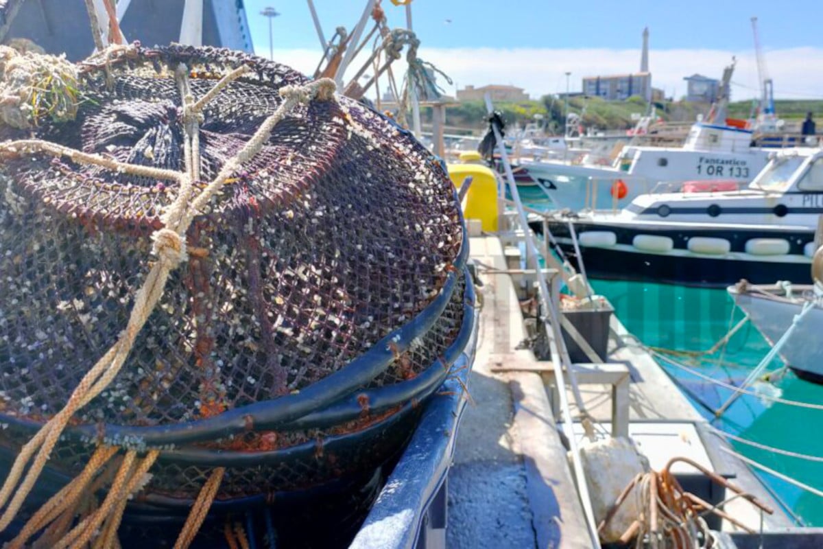Perché non si trova pesce fresco in Italia? I motivi dello sciopero dei pescatori