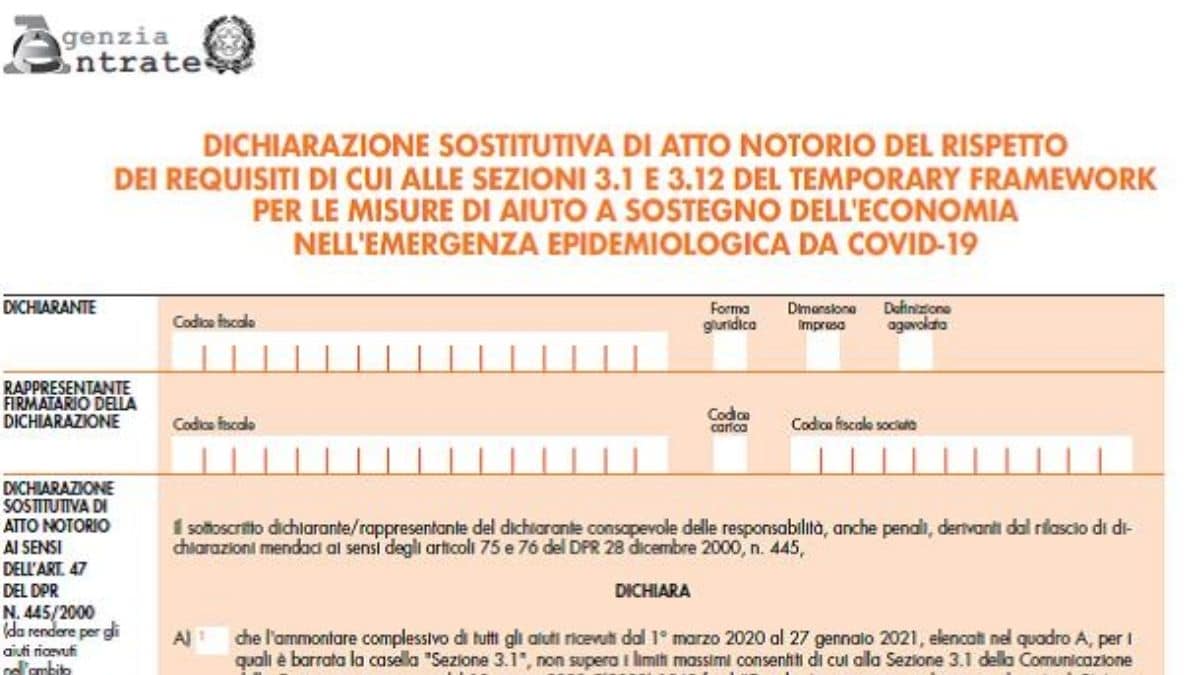 Definizione agevolata avvisi bonari: il modello di autodichiarazione dell’Agenzia delle entrate e le nuove scadenze