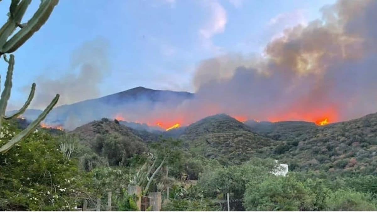 Stromboli, incendio: le fiamme domate e le accuse alla Rai sul set della fiction con Ambra Angiolini