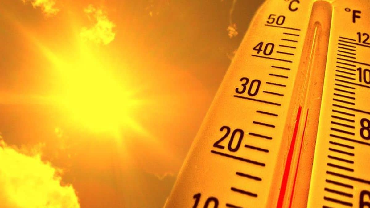 Previsioni meteo, arriva il grande caldo: in settimana temperature sopra i 40 gradi