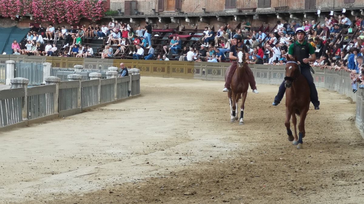 Palio di Siena 2022: programma, quando c’è l’evento e i cavalli assegnati