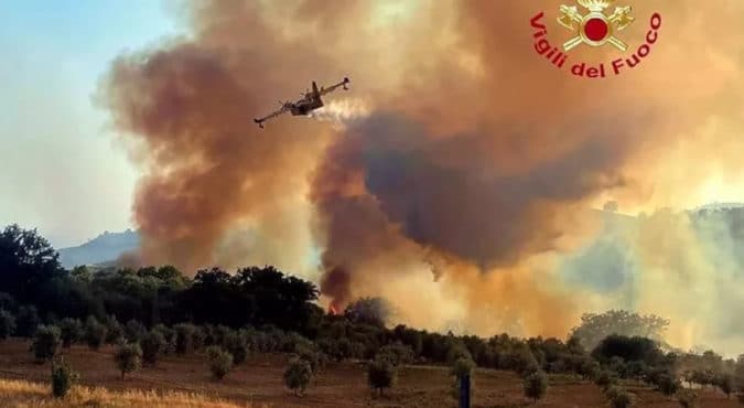 Incendio a Cinigiano in Maremma, a fuoco ettari di bosco: il paese è stato evacuato