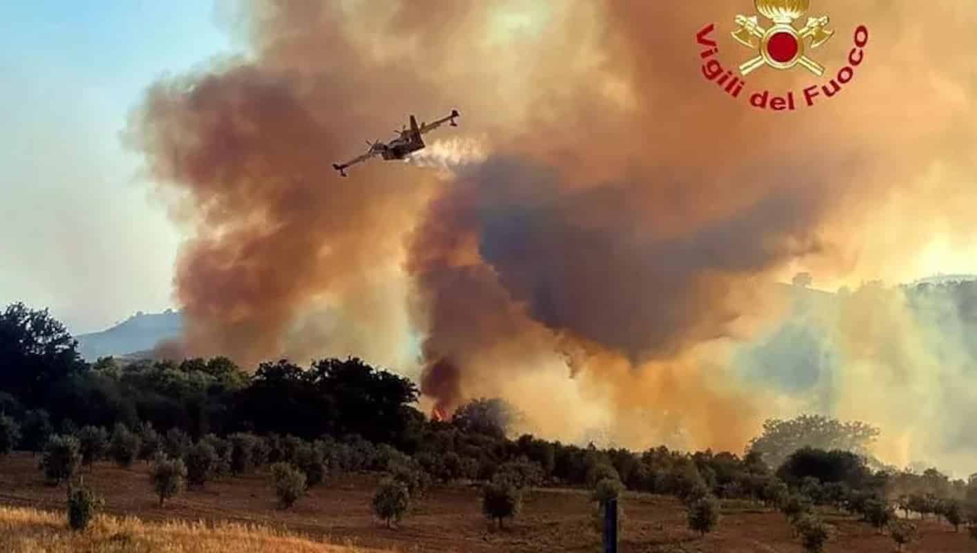 Incendio a Cinigiano in Maremma, a fuoco ettari di bosco: il paese è stato evacuato