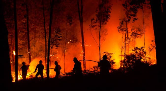 Incendi boschivi e di vegetazione in Italia: oltre 32.000 interventi dei Vigili del fuoco tra il 15 giugno e il 21 luglio
