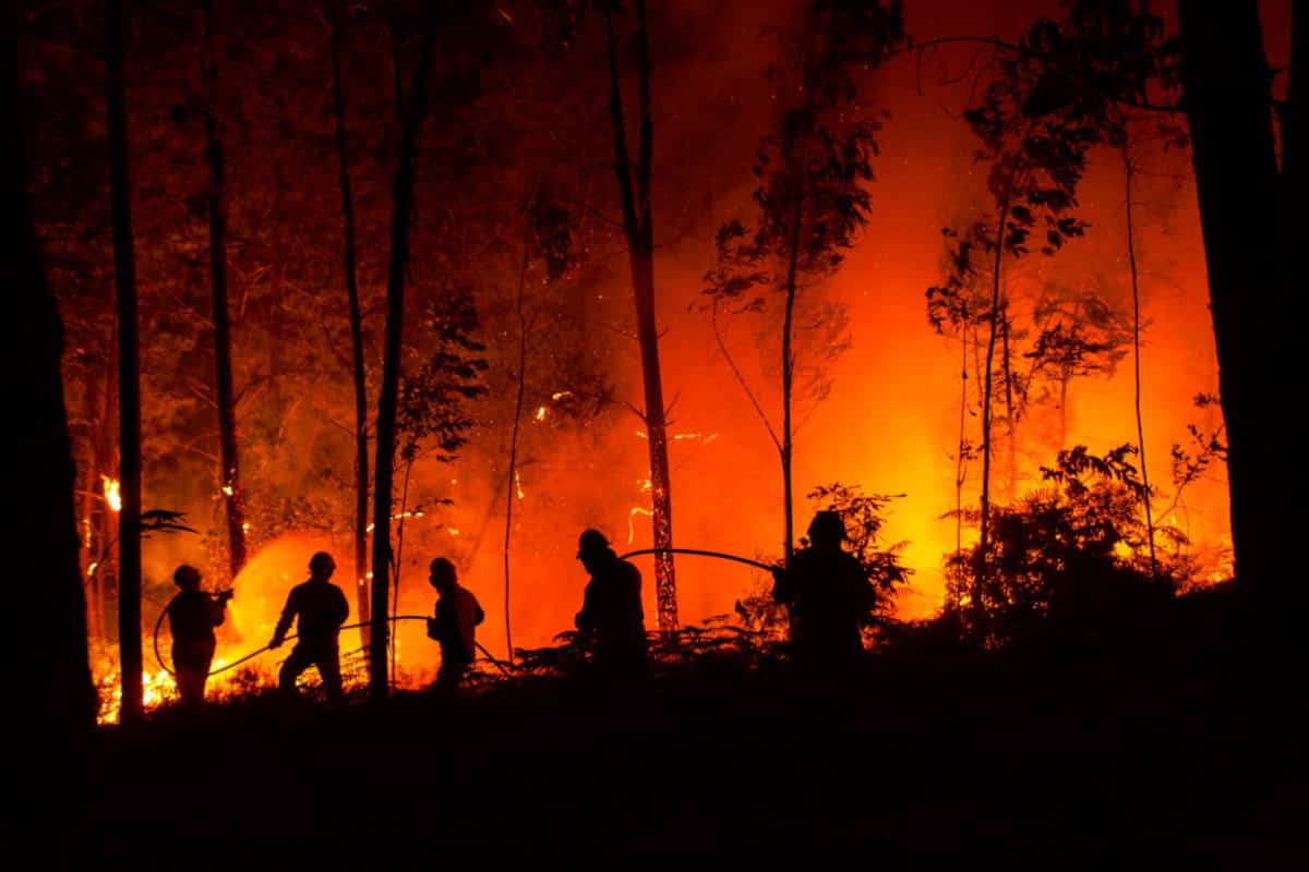incendi boschivi e di vegetazione in Italia
