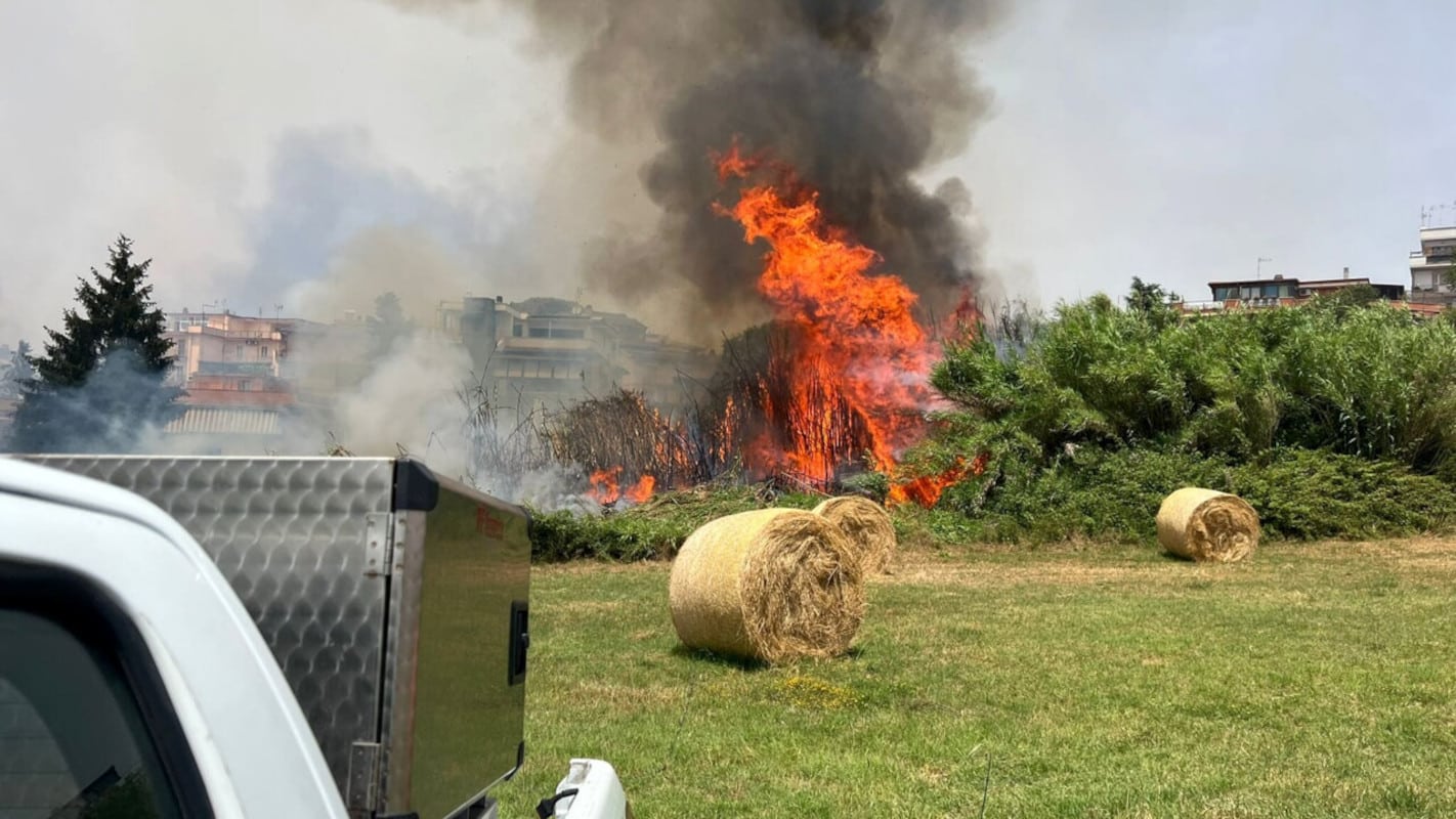 Roma, arrestato il piromane che ha appiccato l’incendio alla Pisana: sorpreso con l’accendino in mano