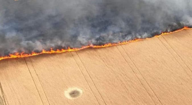 Ucraina, i russi stanno bruciando i campi di grano: “A fuoco la sicurezza alimentare del mondo”