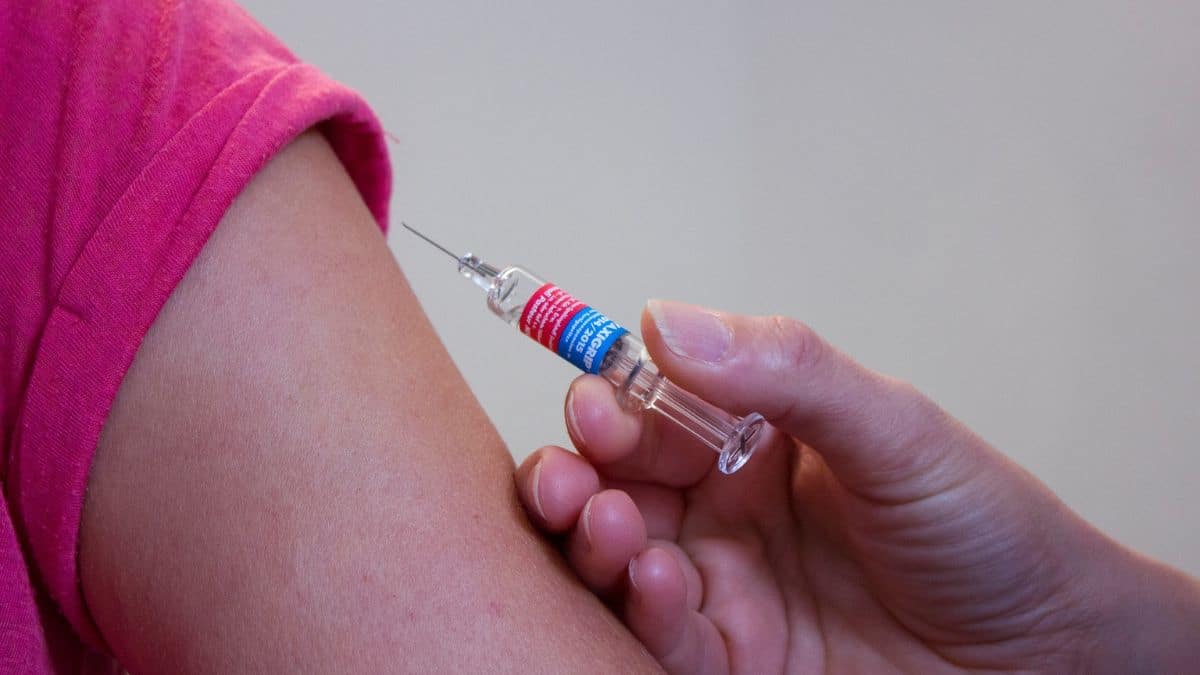 Vaccini Covid, arrivano le prime dosi: quando partirà la campagna e come verranno somministrate