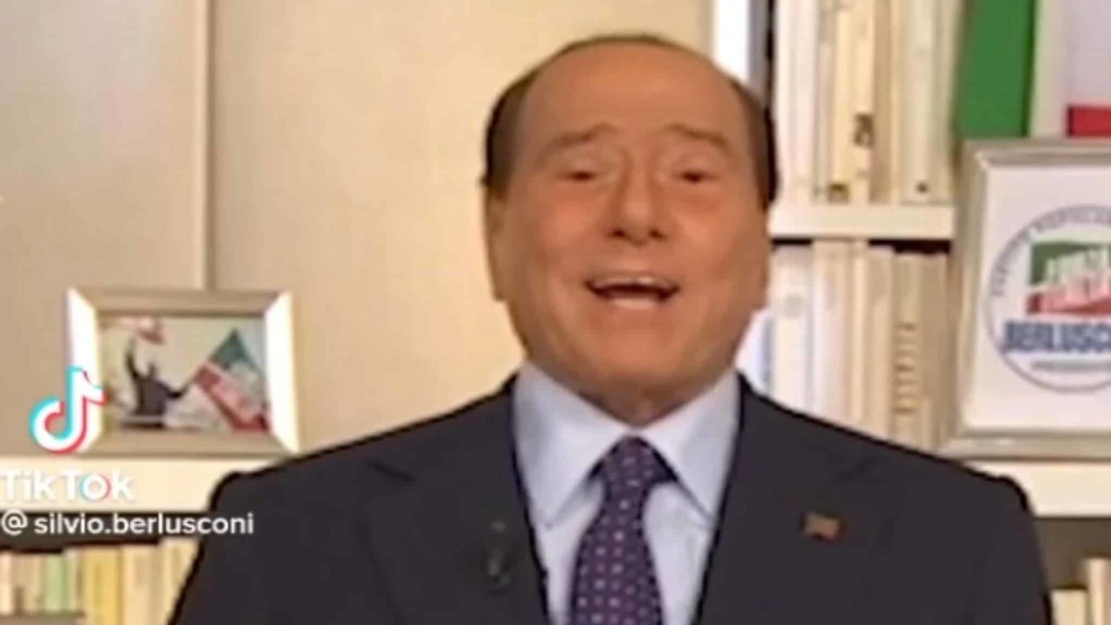 TikTok! Chi è? Berlusconi e Renzi. Bestiario elettorale on-line