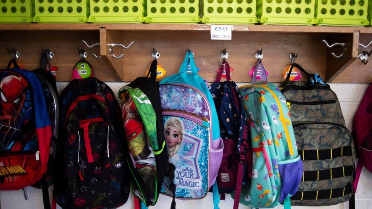 Covid, la scuola non ha un piano di sicurezza all’altezza: secondo Gimbe le misure sono “inadeguate”