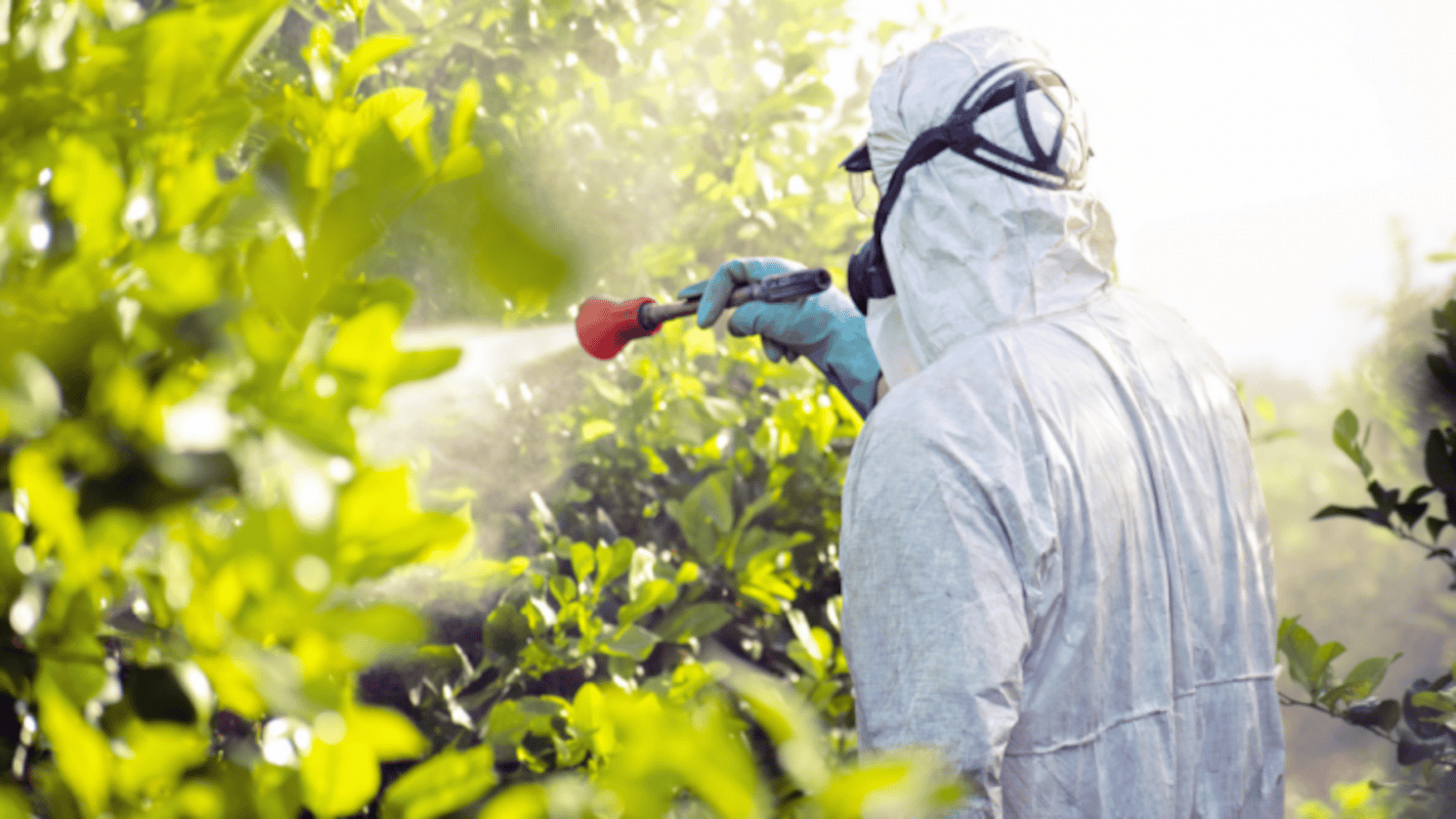 Pesticidi, quando li cerchi li trovi. È allarme in Italia dove una persona su tre è contaminata da sostanze chimiche persistenti e pericolose