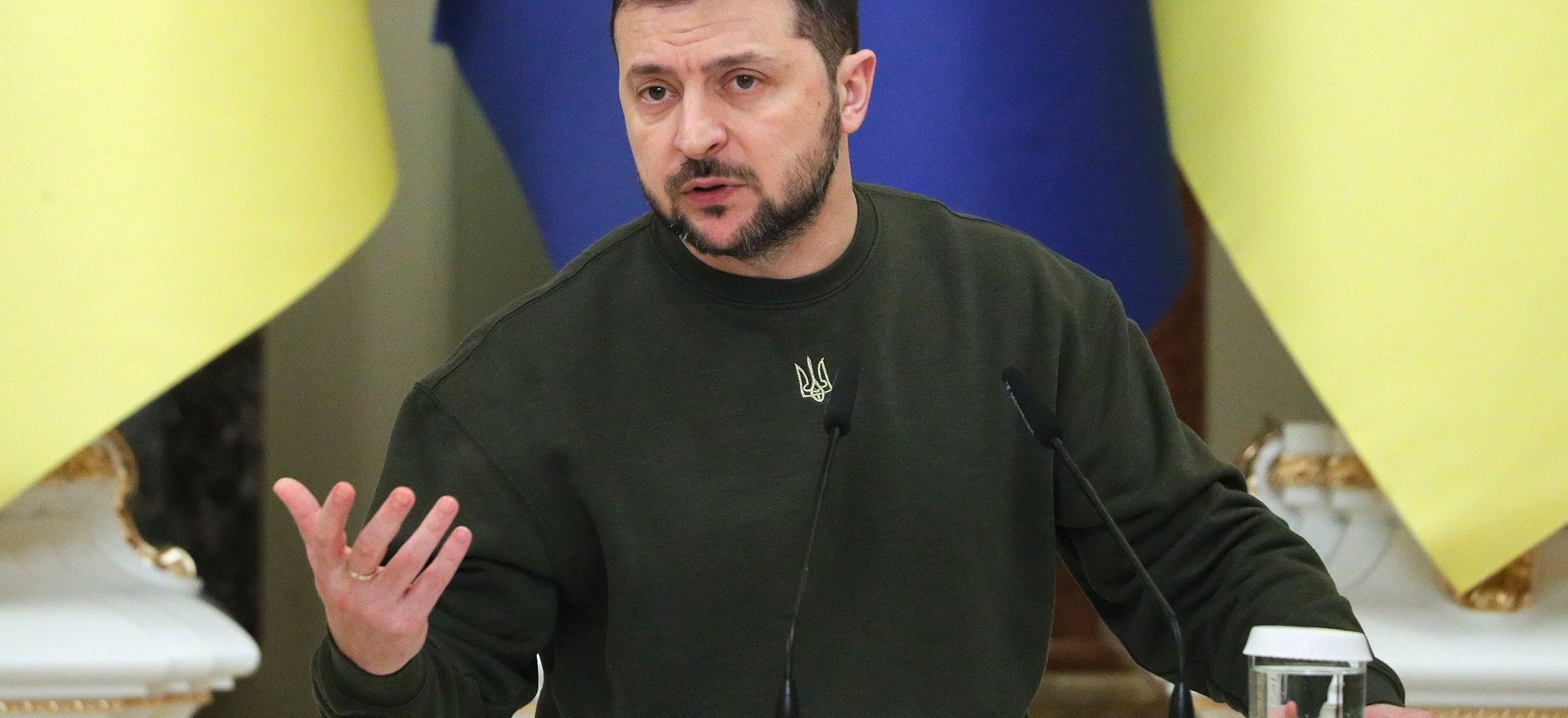 Zelensky Voglio 