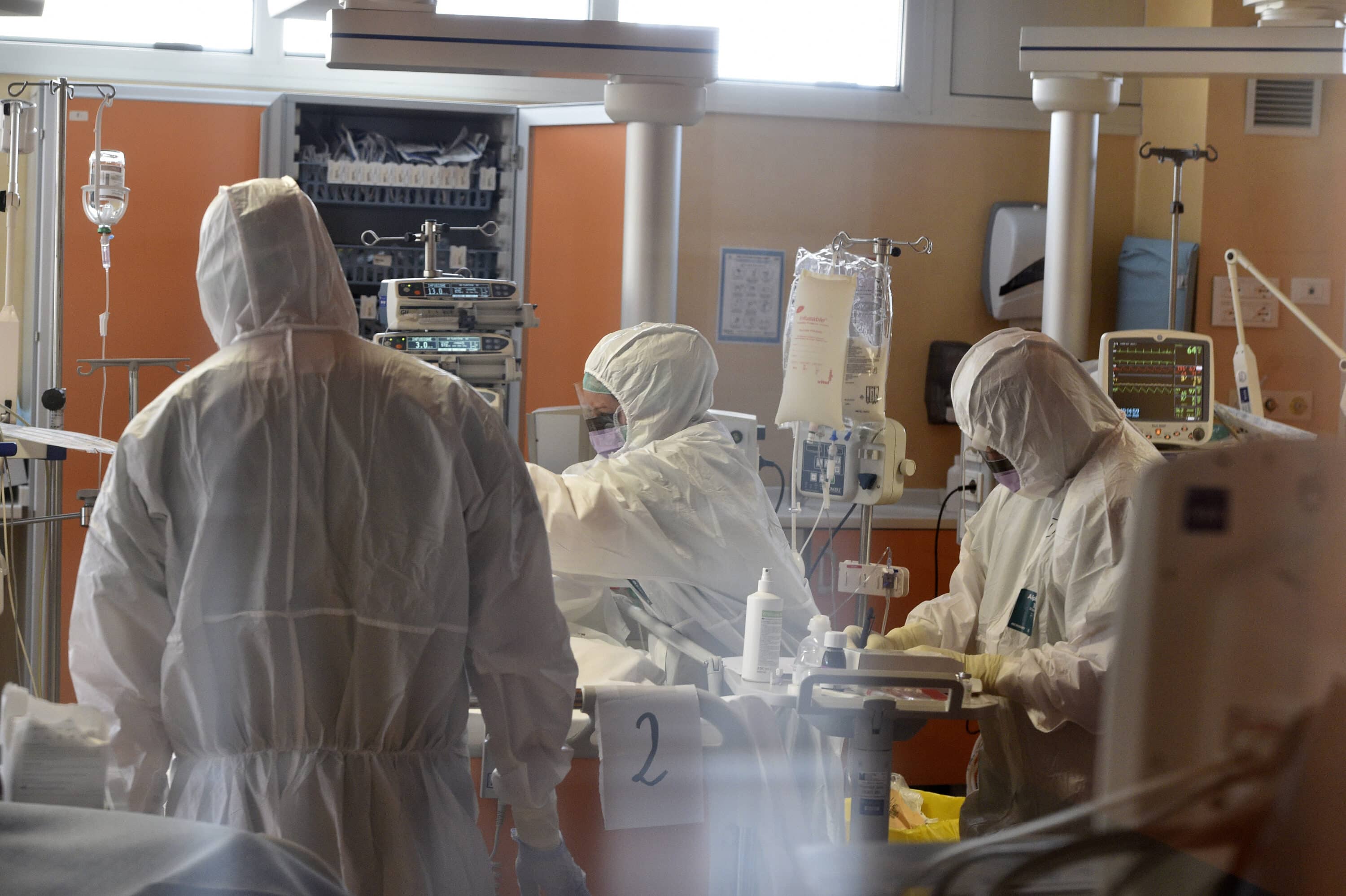 Vaiolo delle scimmie: cos’è e dov’è nato il virus che sta mettendo in ansia il mondo intero