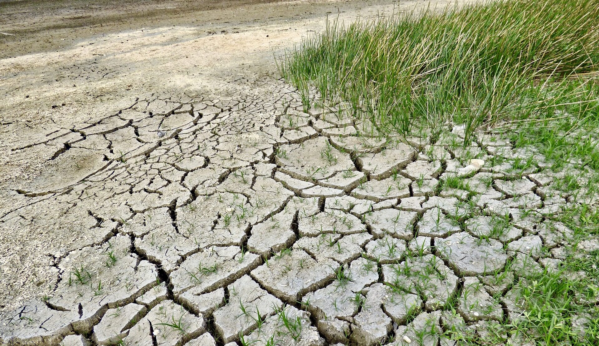 Nuovo allarme dell’Anbi, l’Italia piegata dalla siccità