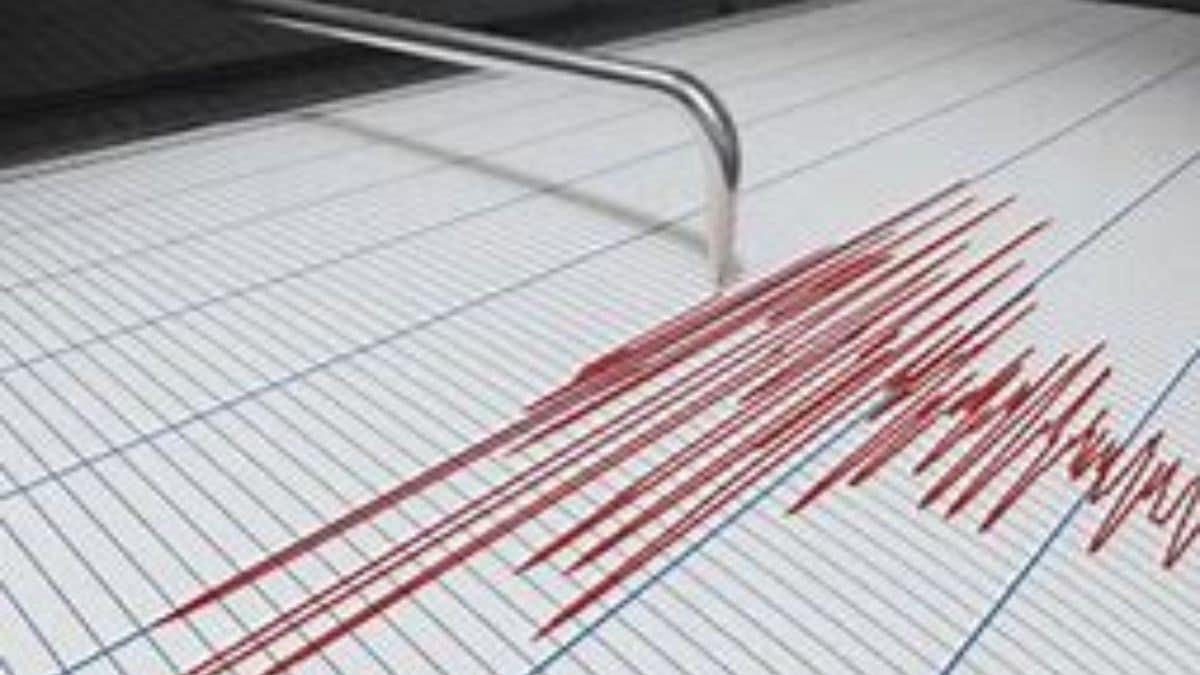 Reggio Calabria, scossa di terremoto di magnitudo 3.5