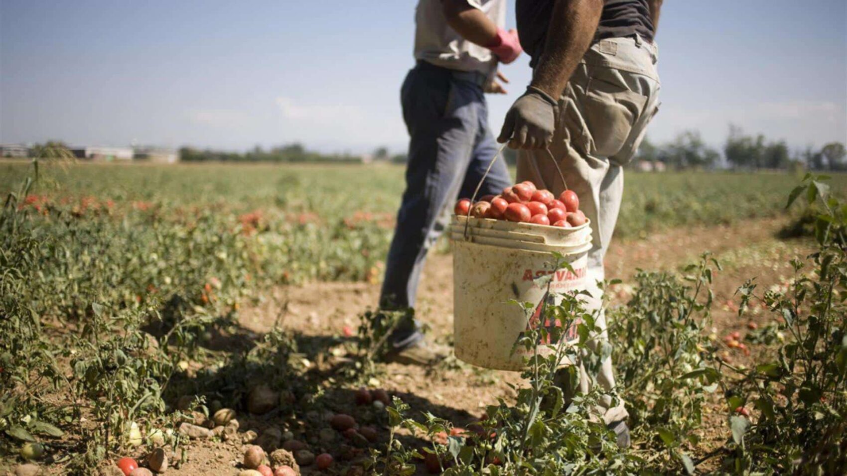 Mai tanti lavoratori stagionali. Smontata la balla dei fannulloni