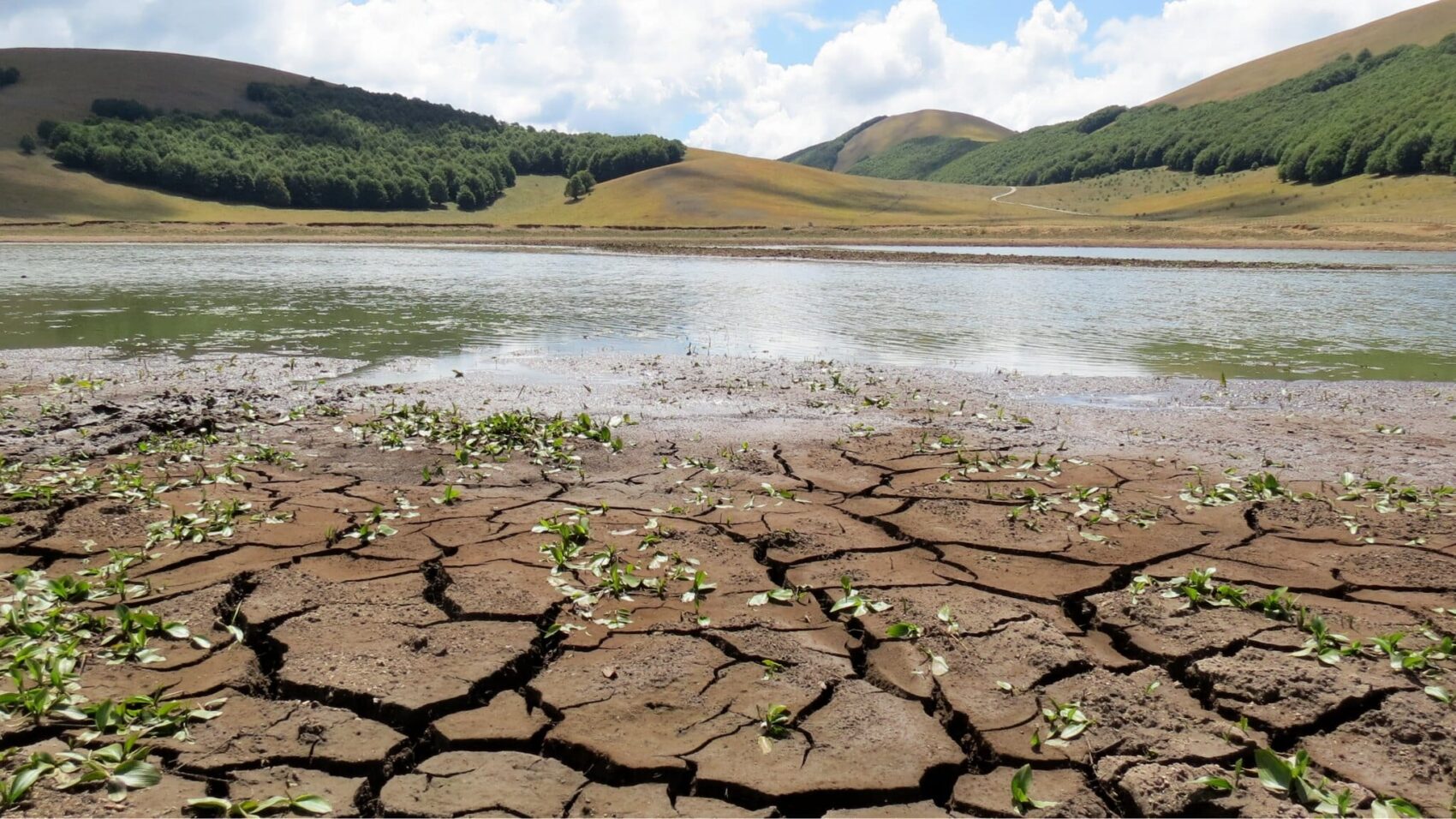 Dal Nord Africa all’Europa è emergenza siccità