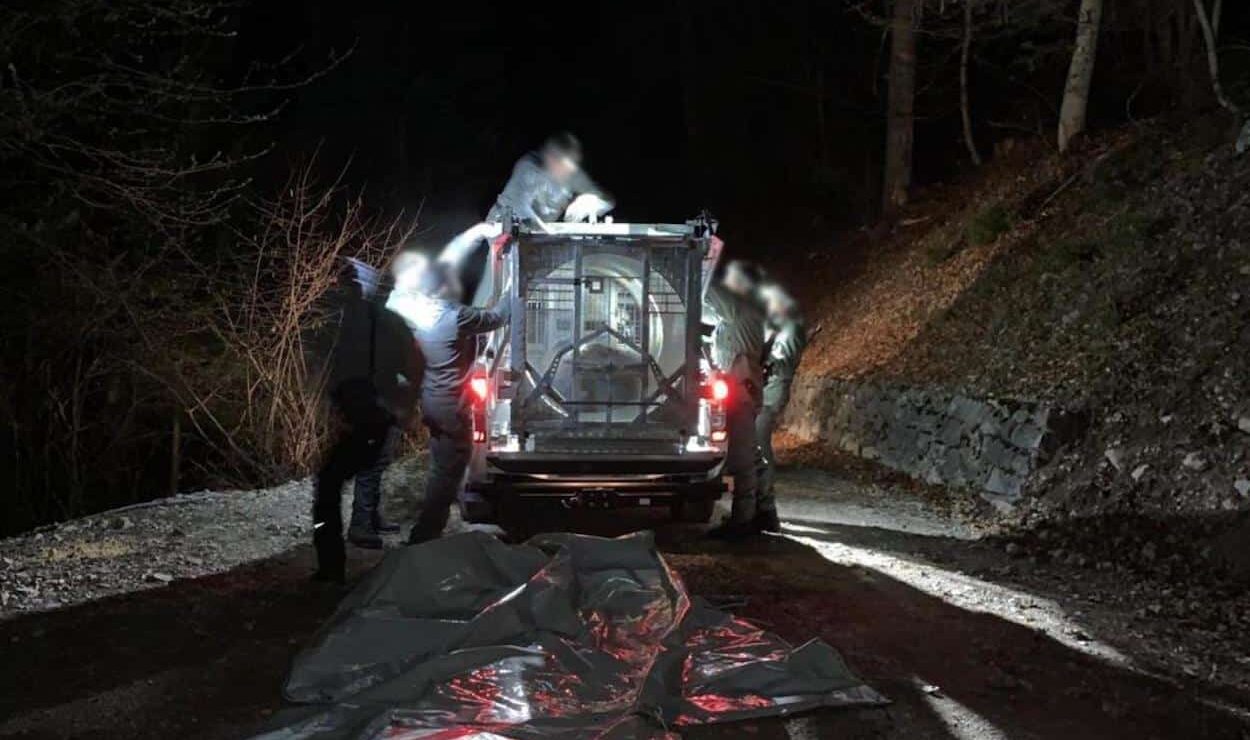 Catturata nei boschi della Val Meledrio l’orsa JJ4. Ha ucciso il runner Andrea Papi