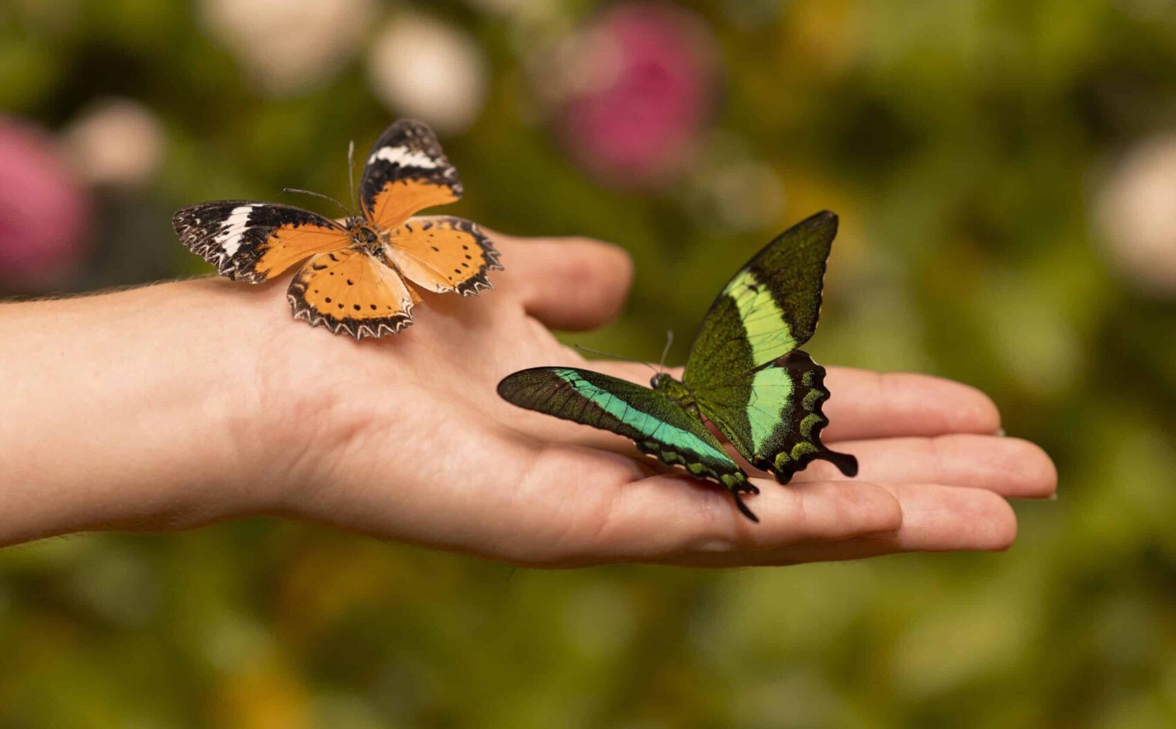 È nato in Italia il primo centro di ricerca dedicato alla biodiversità