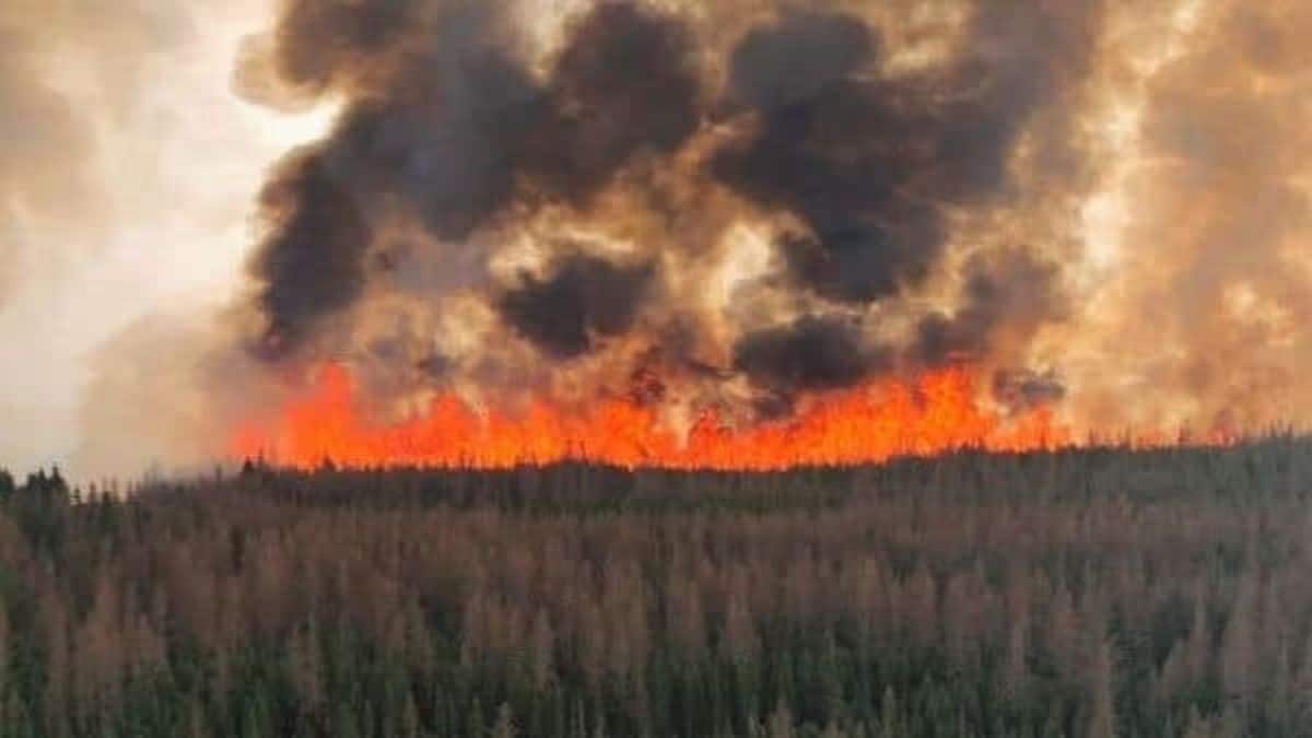 Canada, incendi bloccano voli a New York: fumo e cenere mettono in allarme milioni di americani