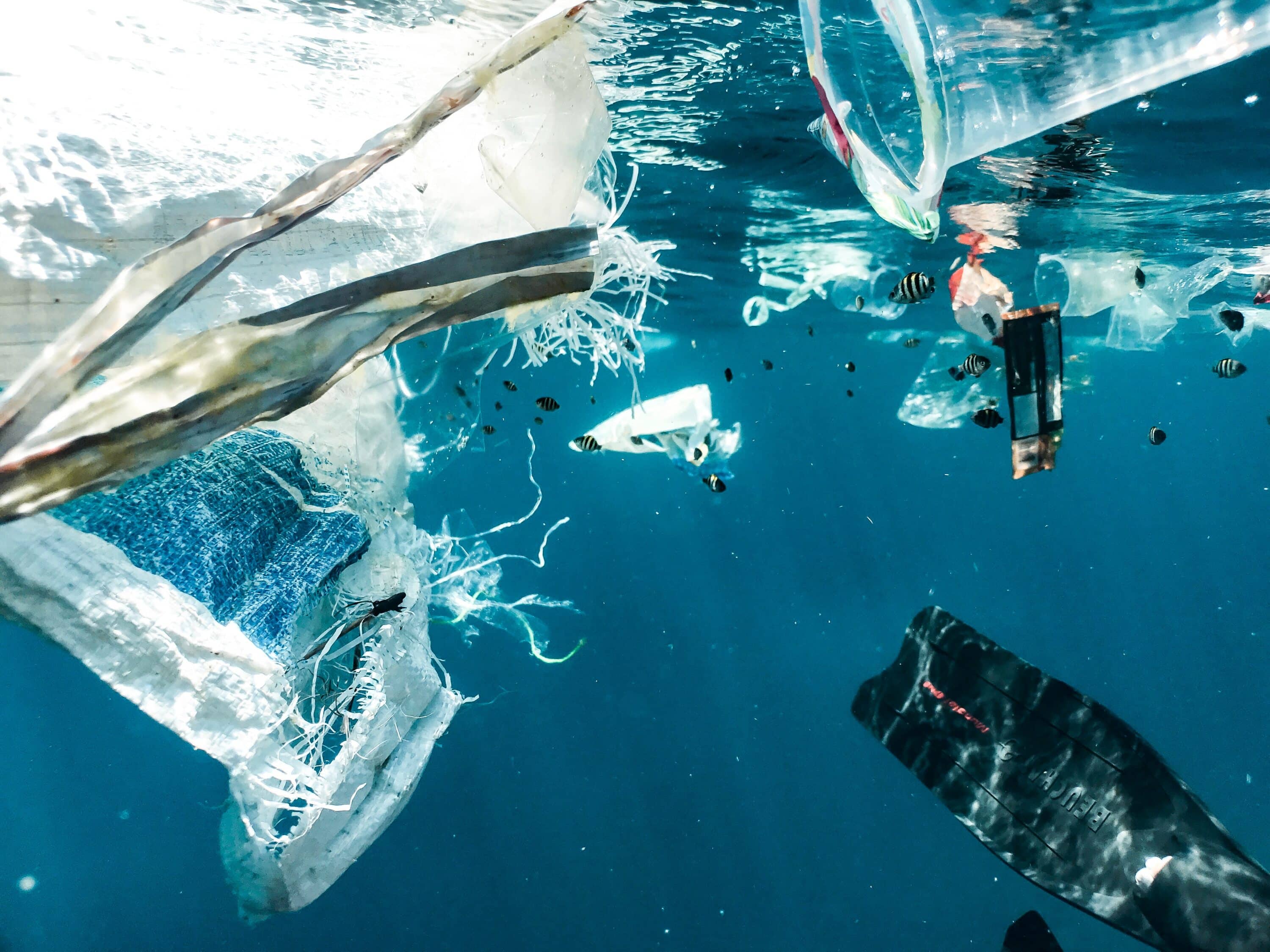 Plastica, superato il limite di rifiuti sul pianeta