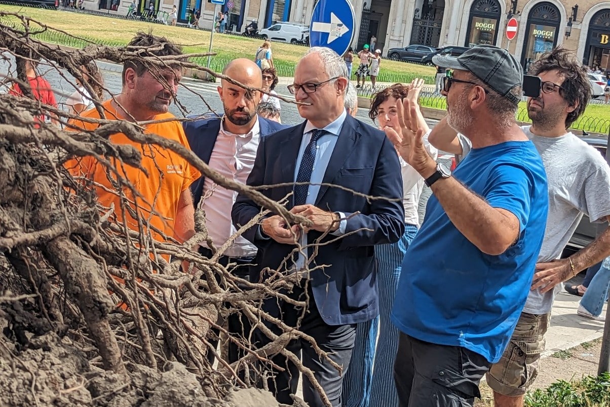 A Roma crollano tre alberi in pieno centro e Gualtieri si ricorda della manutenzione