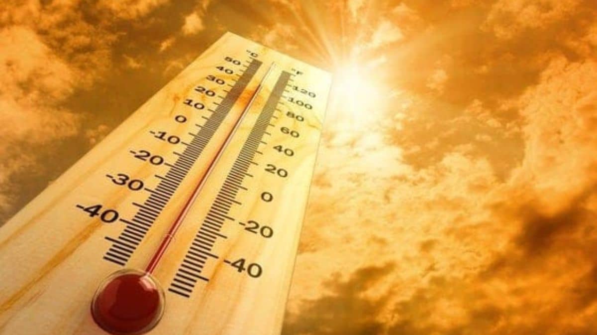 Il 2023 sarà l’anno più caldo della storia