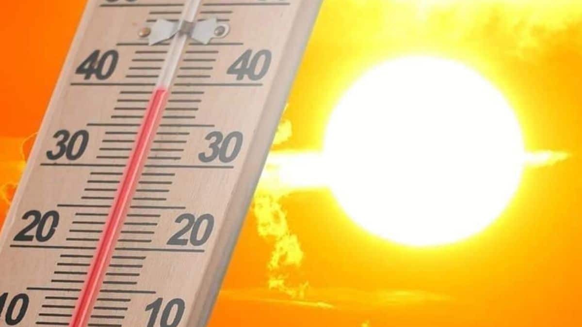 Cosa sono i bollini rossi per i lavoratori per l’allerta caldo e come funzionano