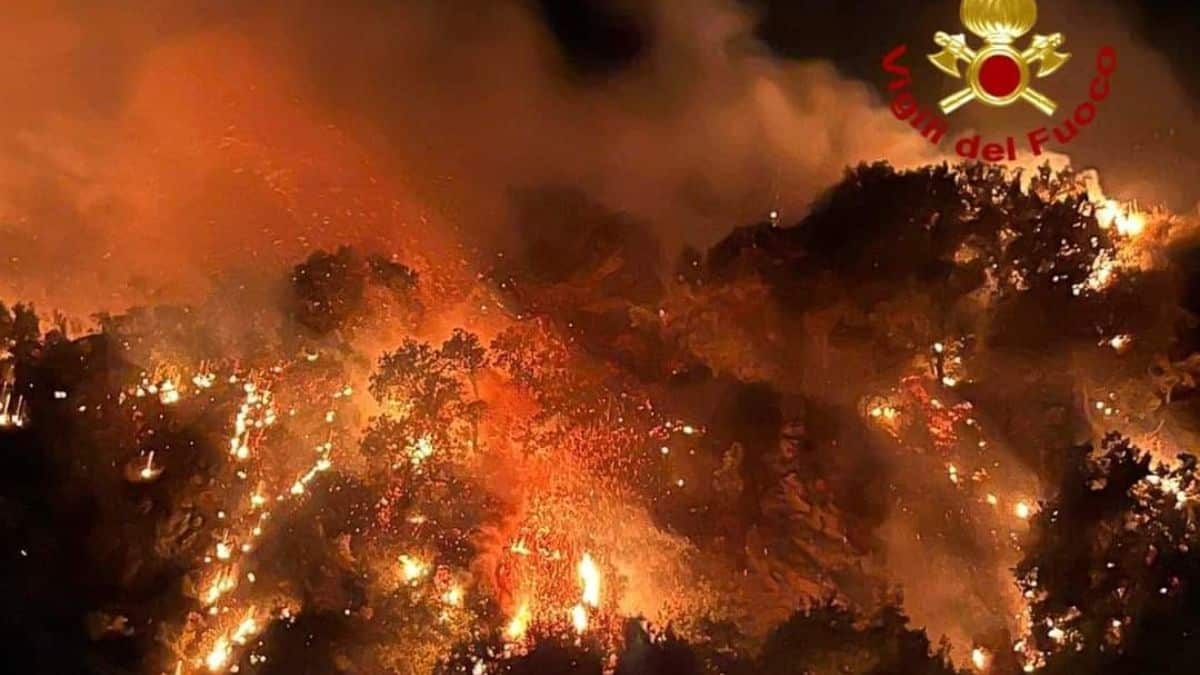 Incendi in Sicilia, è ancora emergenza ma i roghi diminuiscono. Iniziata la conta dei danni. Visita di Mattarella a Palermo