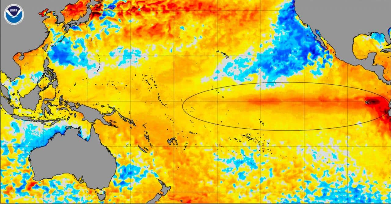 È tornato El Nino, può portare caldo record