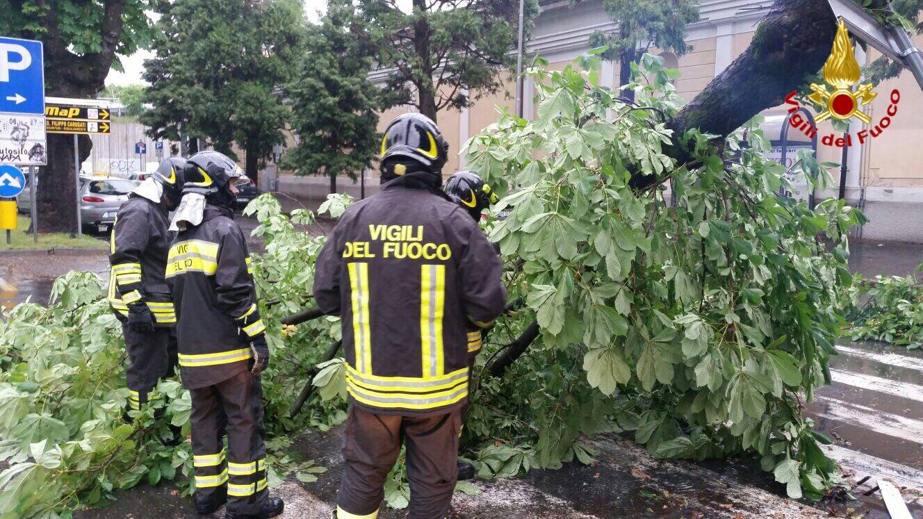 Maltempo, una donna muore schiacciata da un albero in Brianza