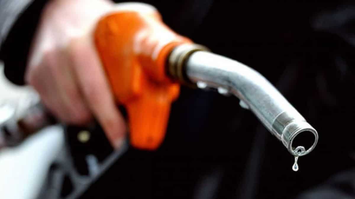 Il Codacons denuncia il Mef per il caro benzina: “Le accise sono appropriazione indebita e speculazione”