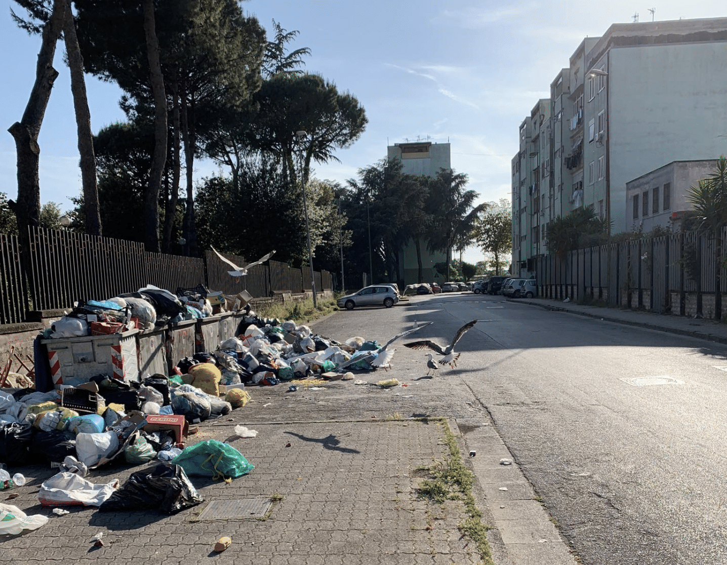 Sgomberi a Caivano: una bomba che può esplodere