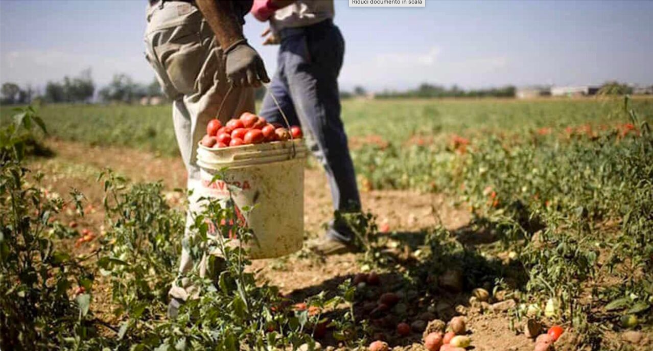 Lavoro irregolare. Qui la bonifica non c’è