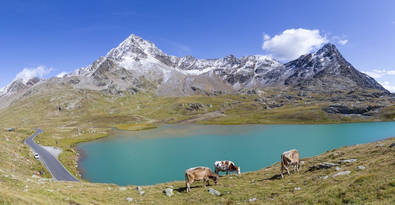 Allarme Lago Bianco, lo scempio ambientale nel Parco dello Stelvio approda a Bruxelles