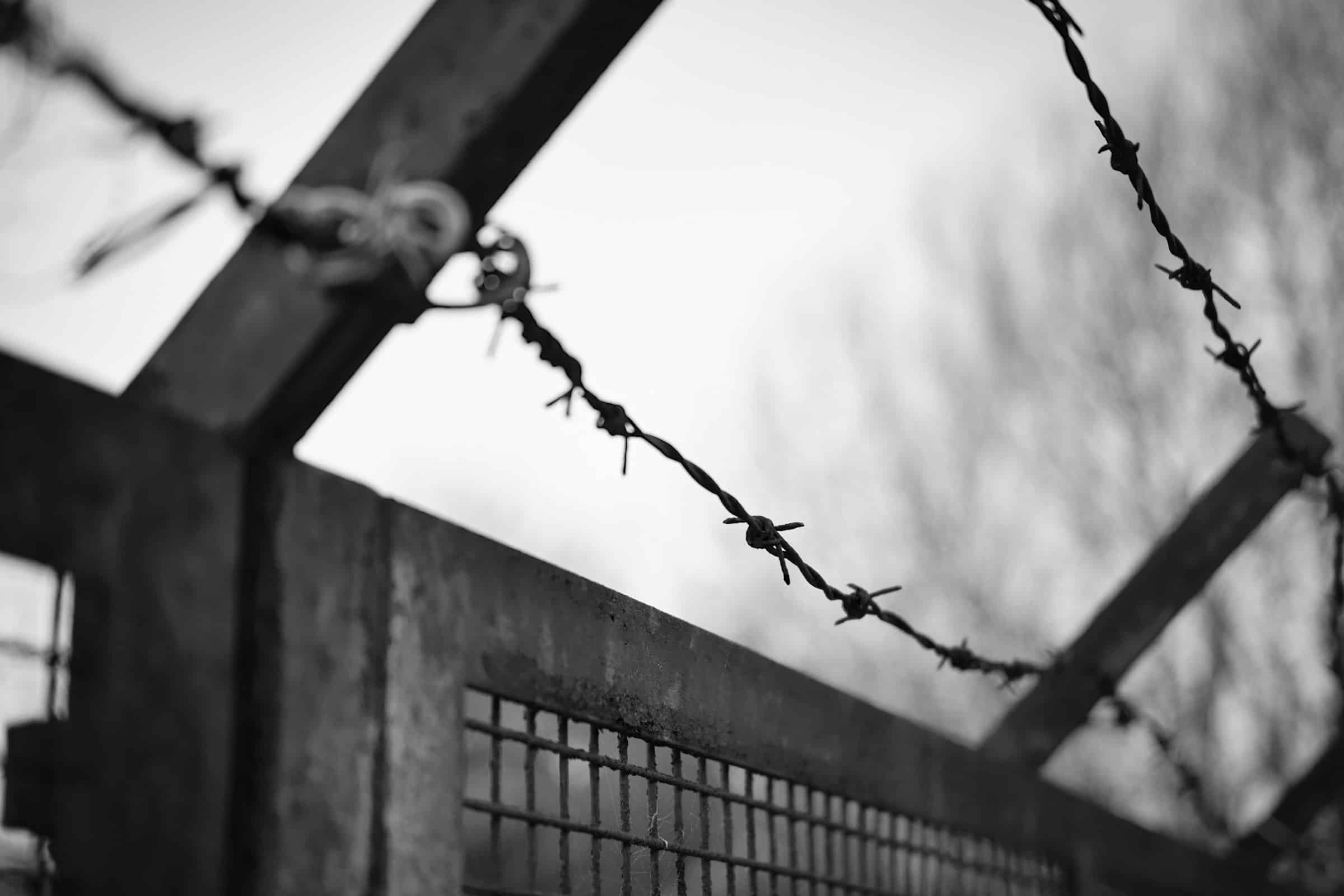 Detenuto si suicida nel carcere di Frosinone. È il 14esimo caso da inizio anno