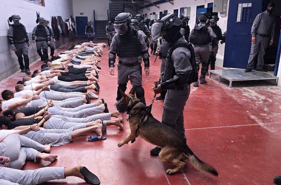 torture sui detenuti palestinesi il dossier che accusa israele ira di m5s meloni ritrovi la parola e condanni netanyahu da Lanotiziagiornale.it torture sui detenuti palestinesi il dossier che accusa israele ira di m5s meloni ritrovi la parola e condanni netanyahu