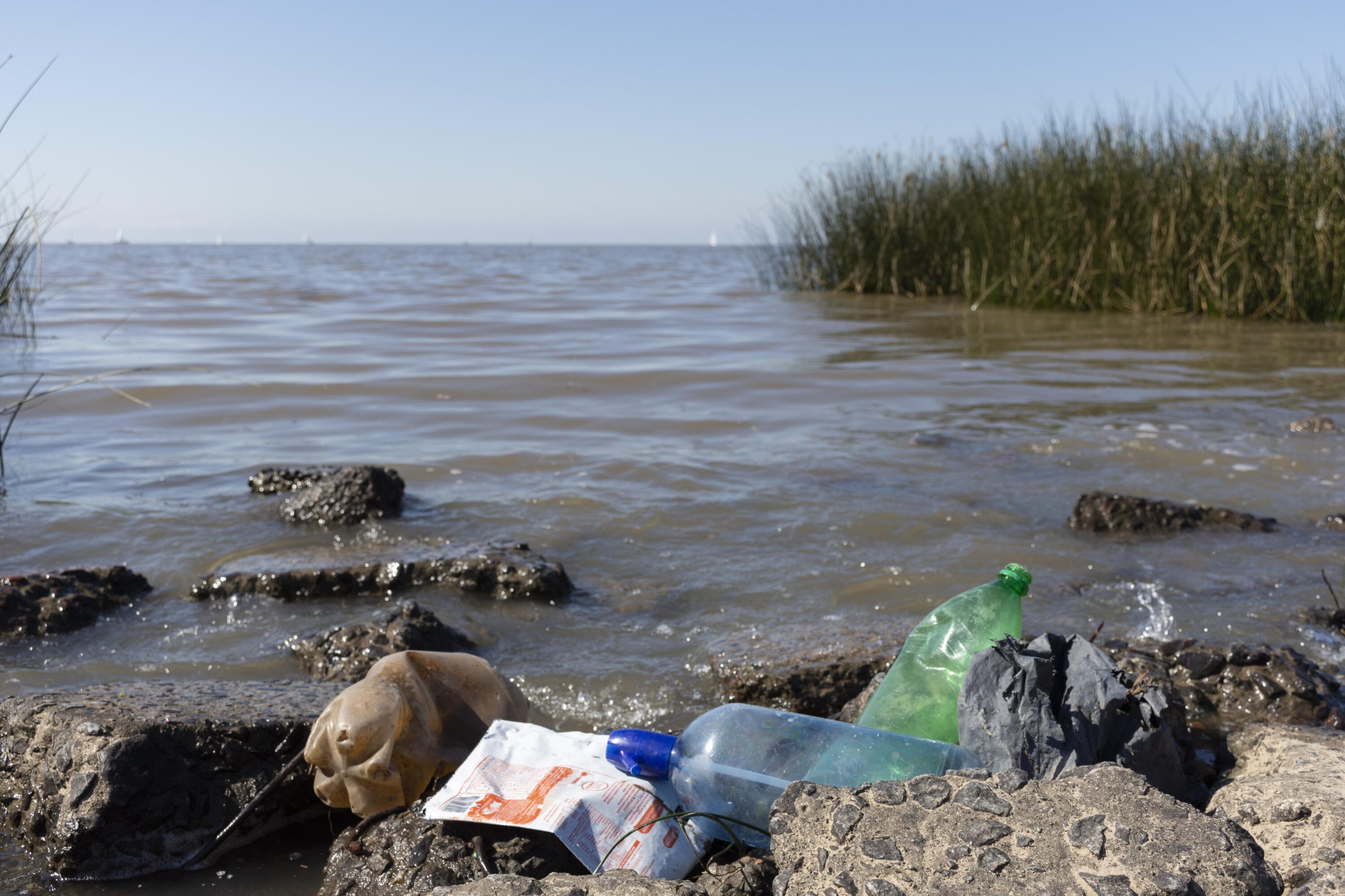 Oceani e mari in pericolo, l’appello di Greenpeace: “Italia in ritardo, è tempo di agire”