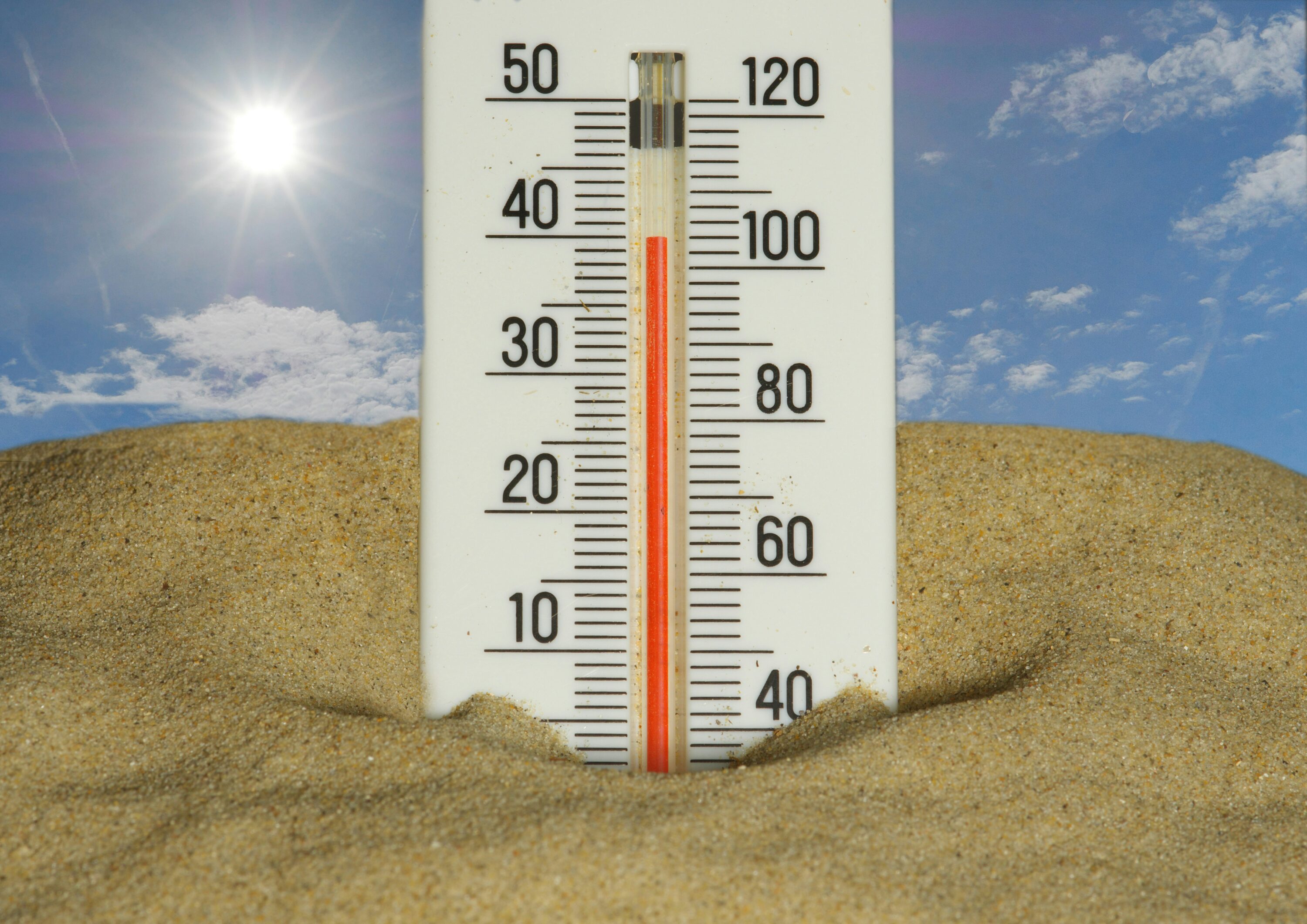 Previsioni meteo, arriva il caldo africano: nel fine settimane picchi di 40 gradi in Italia Previsioni meteo, arriva il caldo africano: nel fine settimane picchi di 40 gradi in Italia
