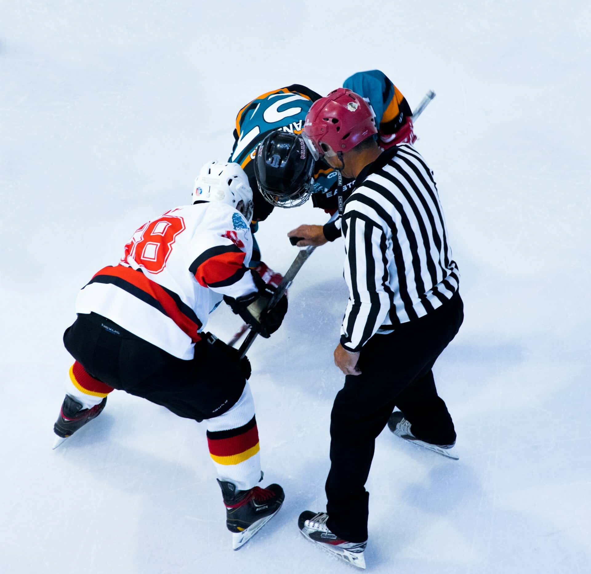 Heated Rivalry, la serie gay di HBO Max è già un’icona anti-Trump